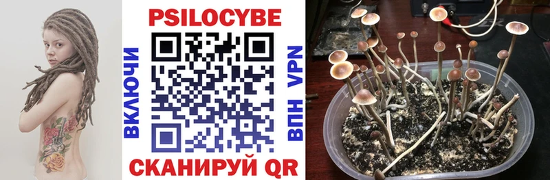 Псилоцибиновые грибы мухоморы  Алексеевка 